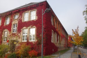 DSC05227